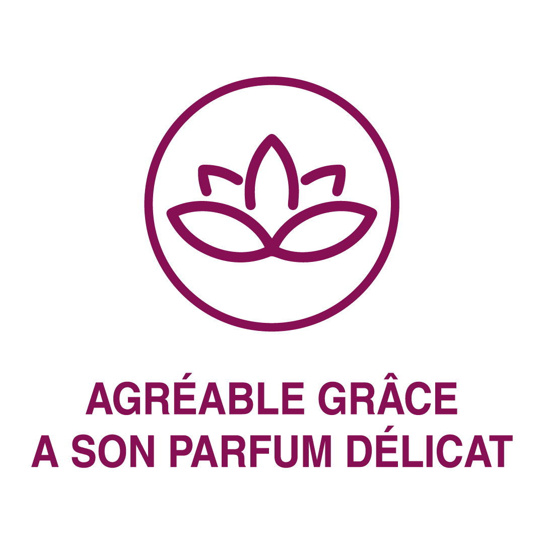 Agréable grâce à son parfum délicat